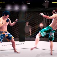 Ultimate MMA PC Crack