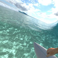 Virtual Surfing Torrent Download