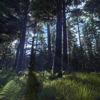 Way of the Hunter - Aurora Shores Crack Download