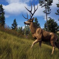 Way of the Hunter PC Crack
