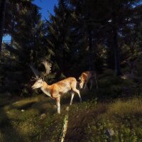 Way of the Hunter PC Crack