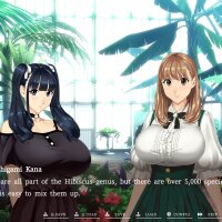 Welcome to Maison Chichigami Crack Download