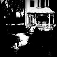 White Night Update Download