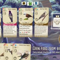 Wingspan: Asia Expansion PC Crack