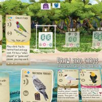 Wingspan: Oceania Expansion Update Download