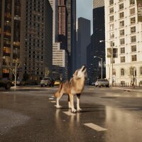 WOLF IN THE CITY PC Crack