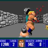 Wolfenstein 3D Repack Download