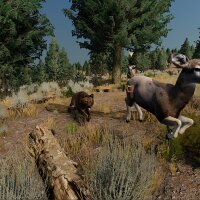 WolfQuest: Anniversary Edition PC Crack