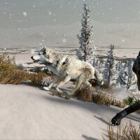 WolfQuest: Anniversary Edition Update Download