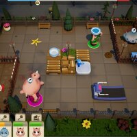 Zoo Time Torrent Download