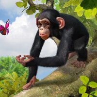 Zoo Tycoon: Ultimate Animal Collection Crack Download